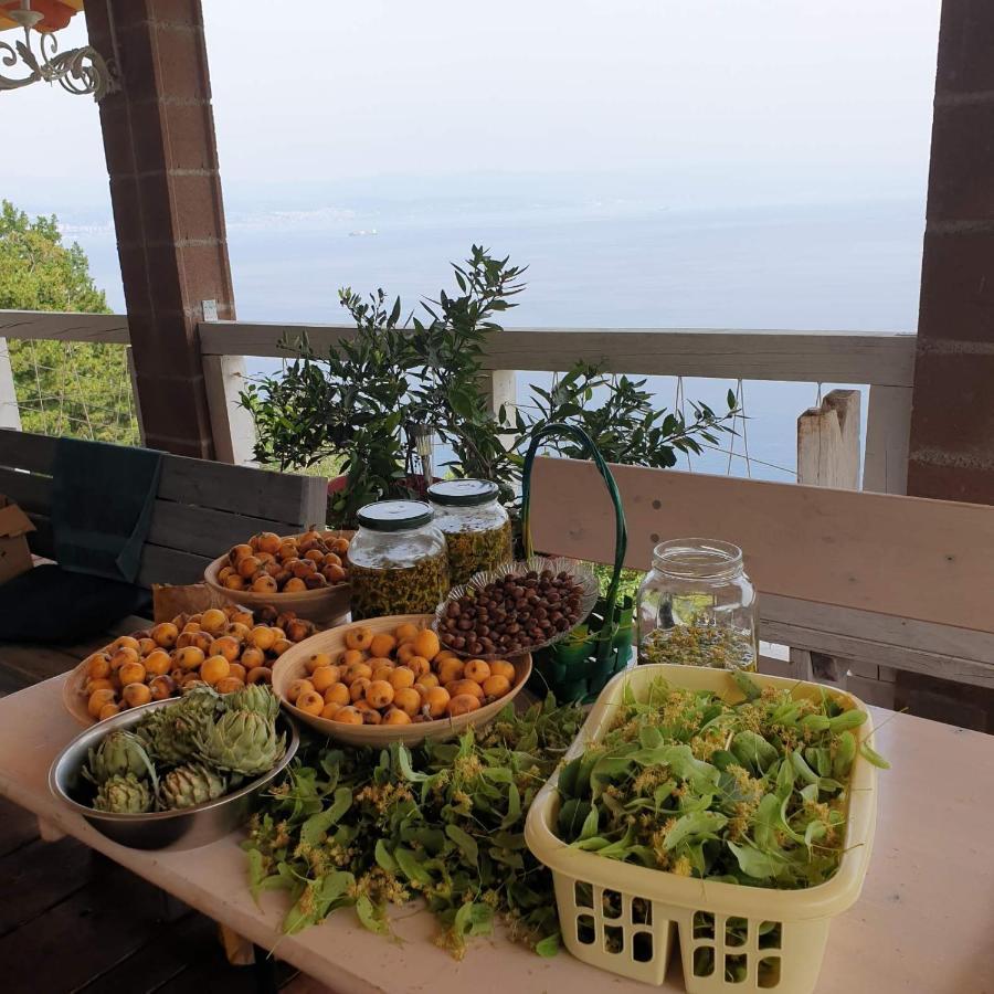 Mary'S Garden Villa Tulisevica Bagian luar foto