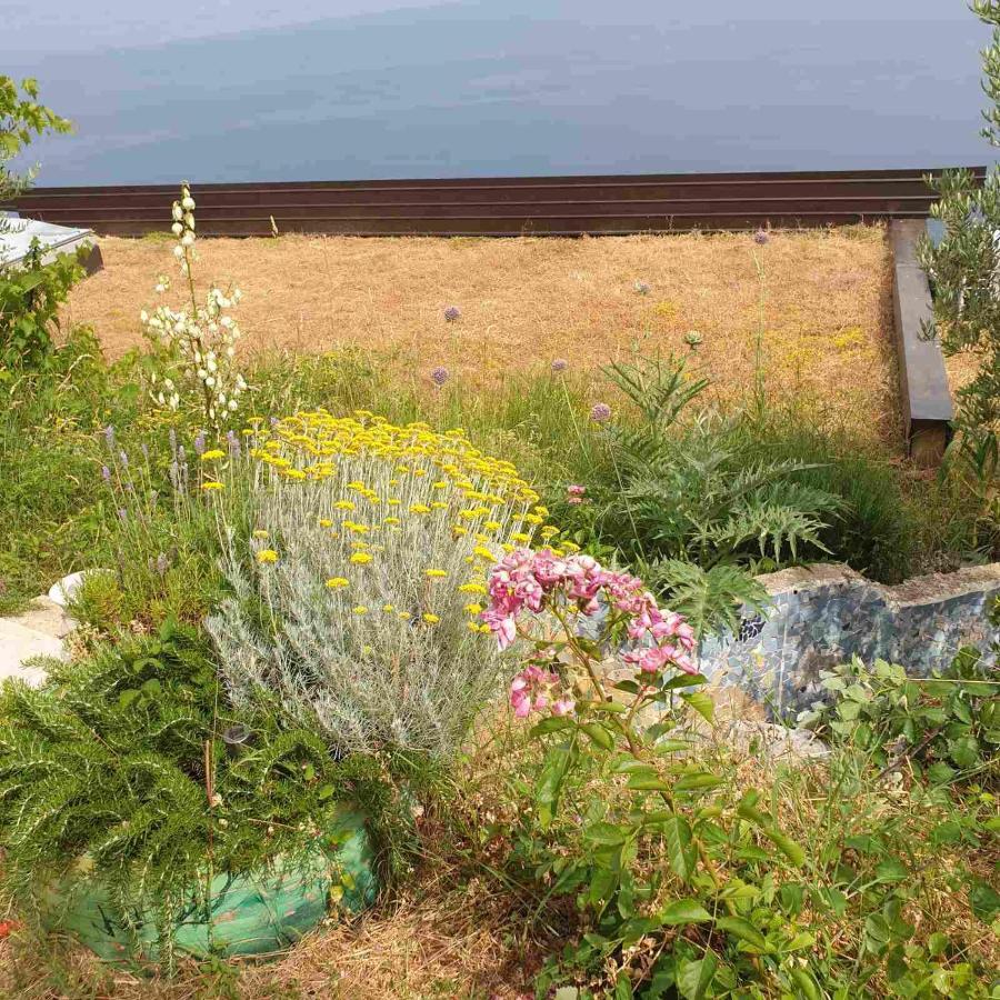 Mary'S Garden Villa Tulisevica Bagian luar foto