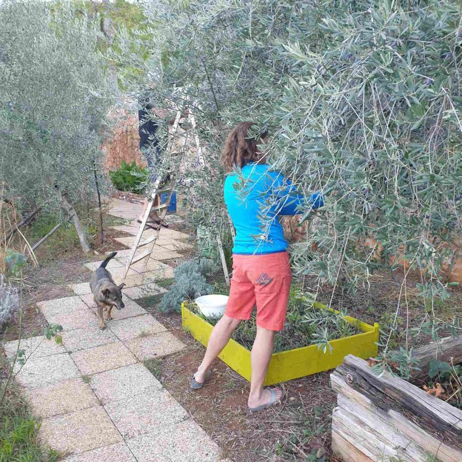 Mary'S Garden Villa Tulisevica Bagian luar foto