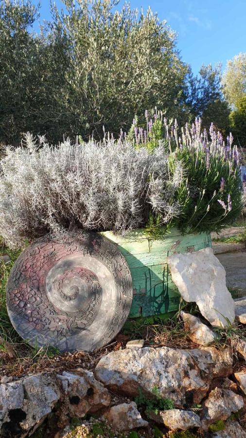 Mary'S Garden Villa Tulisevica Bagian luar foto