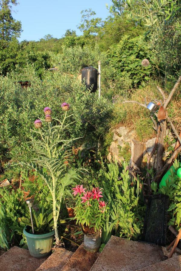 Mary'S Garden Villa Tulisevica Bagian luar foto
