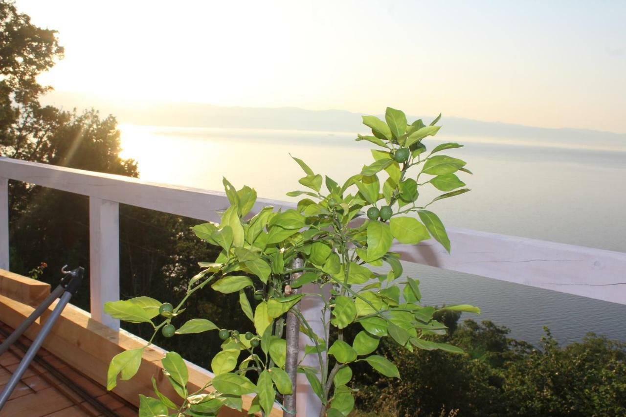 Mary'S Garden Villa Tulisevica Bagian luar foto
