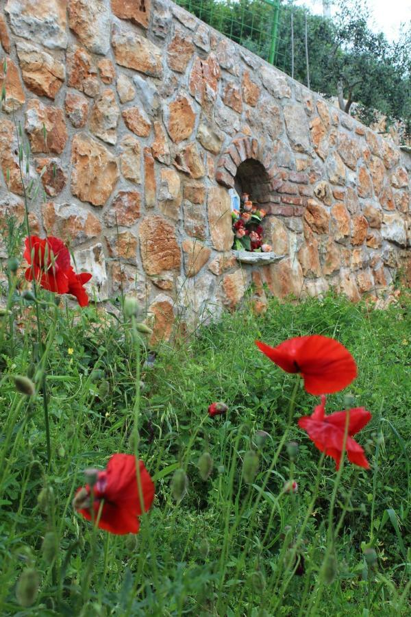 Mary'S Garden Villa Tulisevica Bagian luar foto
